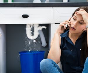 About Emergency plumbing pros Penney Farms, FL